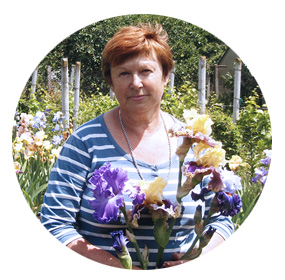 Елена Радченко Ирисы
